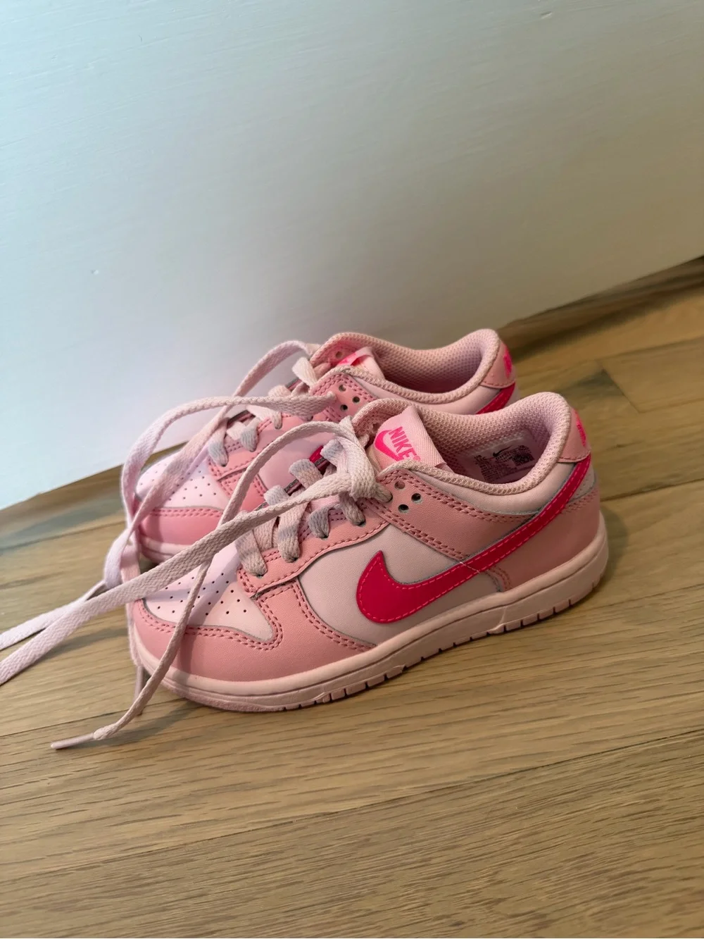 Nike dunks size 11 NEW
